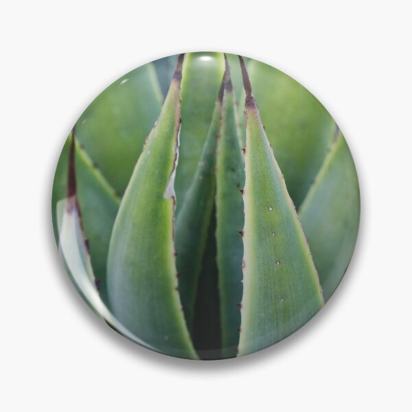 Artikelvorschau, Abstrakte Agave - Südwestkunst entworfen und verkauft von aprilbernphoto.