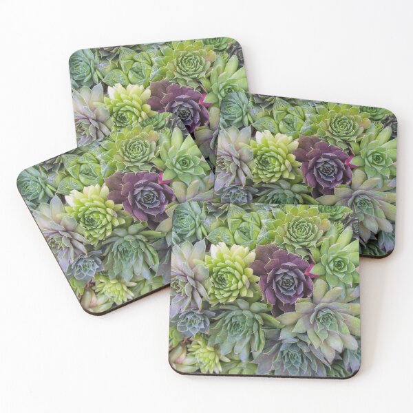 Item preview, Succulent Garden designed and sold by aprilbernphoto.