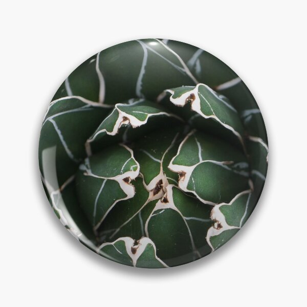 Item preview, Agave Photo, Succulent Photography, designed and sold by aprilbernphoto.