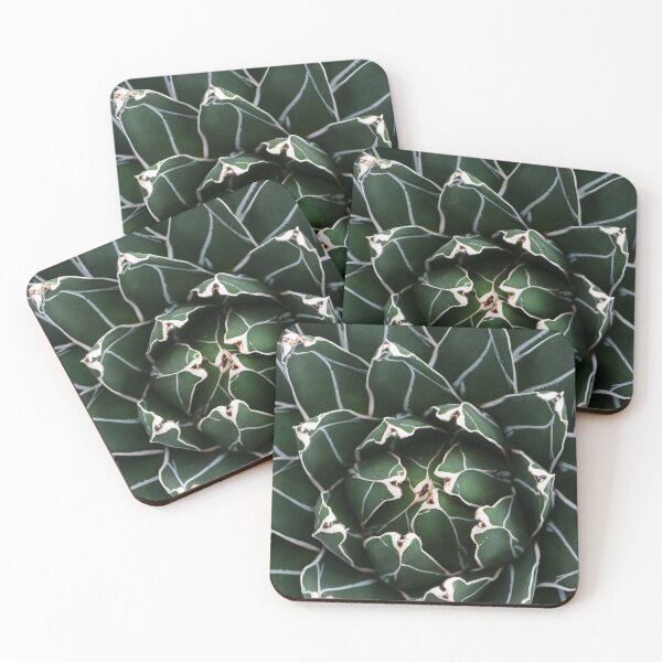 Item preview, Agave Photo, Succulent Photography, designed and sold by aprilbernphoto.