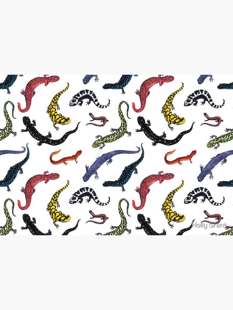 Salamanders by LadyElizabeth