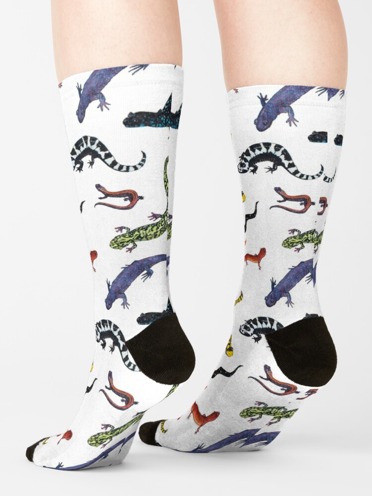 Salamanders | Socks