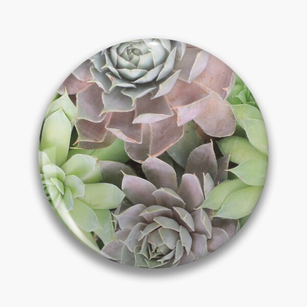 Item preview, Succulent Garden Big Bloom Photography designed and sold by aprilbernphoto.