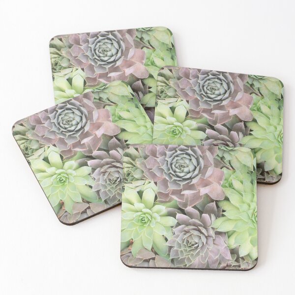Item preview, Succulent Garden Big Bloom Photography designed and sold by aprilbernphoto.