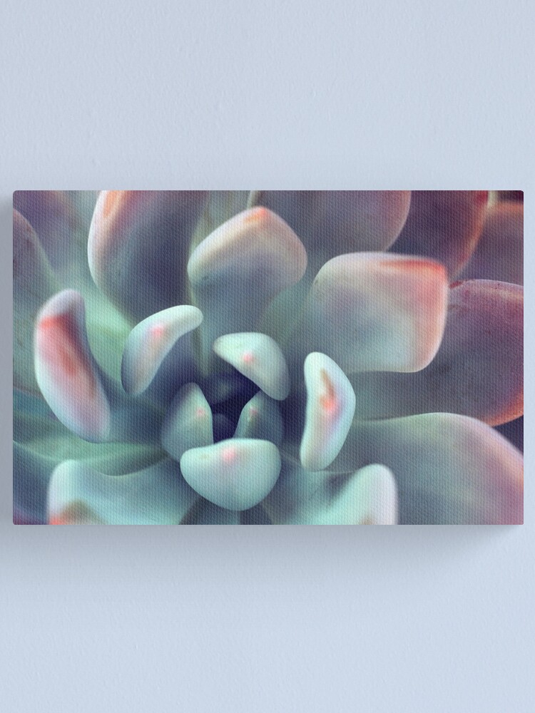 Succulent Photography Green Succulent Wall Art Abstract Flower Art