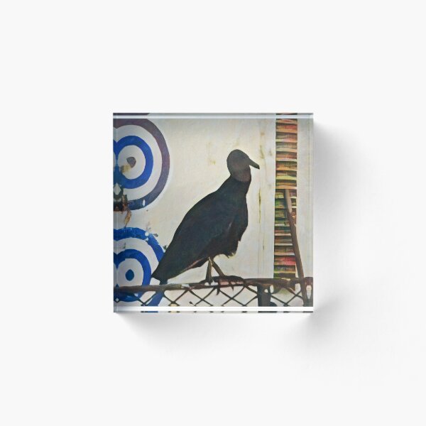 Aperçu de l'œuvre Faune urbaine créée et vendue par PetitRouquin.