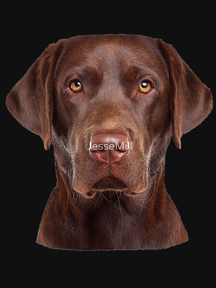 bifald Allergisk mesh I love my Labrador Face my Chocolate Lab make me happy" Essential T-Shirt  for Sale by JesseMill | Redbubble