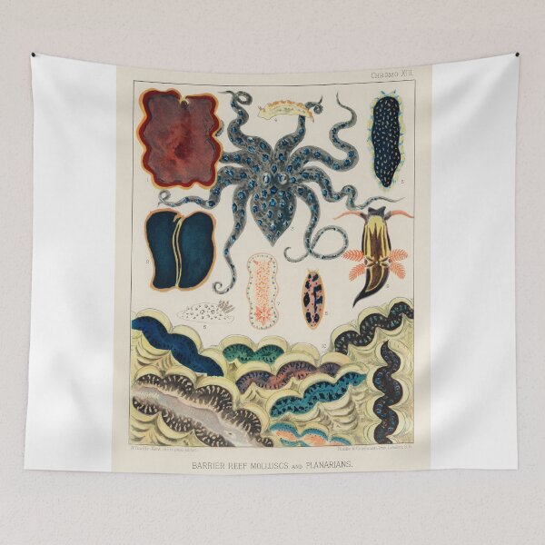 Item preview, Under the Sea Great Barrier Reef Octopus and Clams designed and sold by upoutandaway.