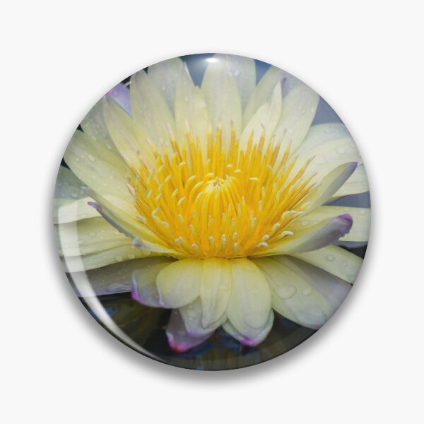 Item preview, waterlily magic designed and sold by aprilbernphoto.
