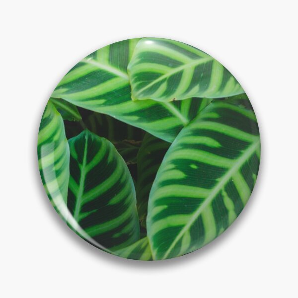 Item preview, Zebra Leaf Tropical Print designed and sold by aprilbernphoto.