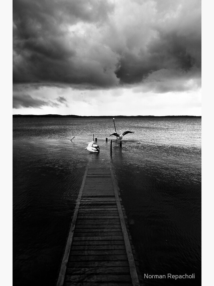 Time and Tide - Gippsland Victoria by keystone