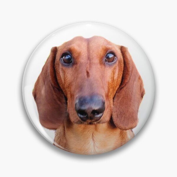 Item preview, Puppy Dog Eyes and Tulips designed and sold by PetitRouquin.