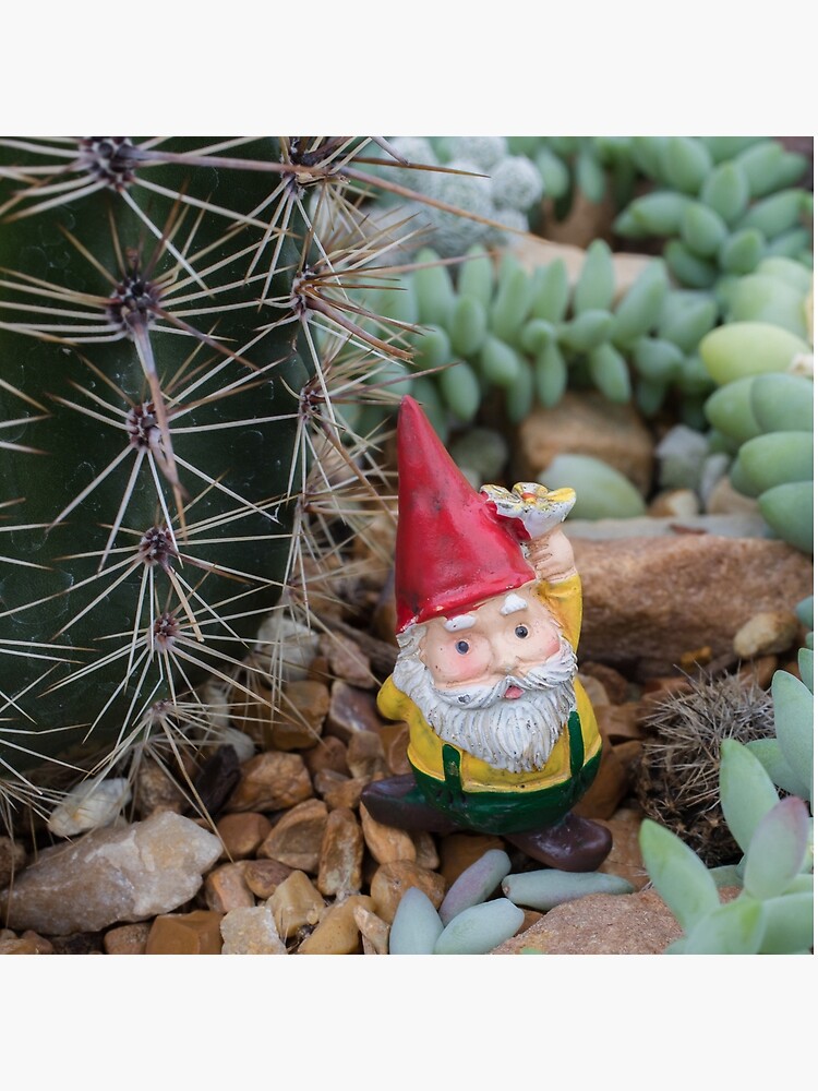 Download Desert Gnome Tote Bag By Aprilbernphoto Redbubble