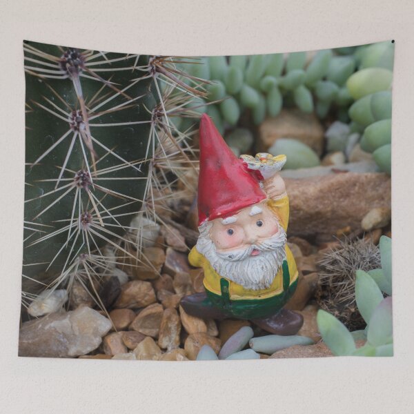 Aperçu de l'œuvre gnome du désert créée et vendue par aprilbernphoto.