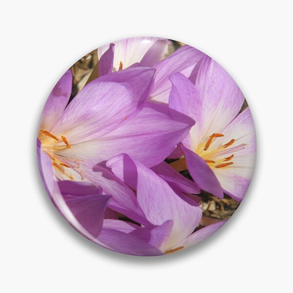 Item preview, Autumn Crocus Delight designed and sold by coffeebean.