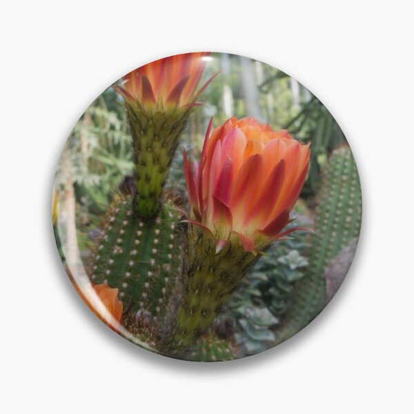 Item preview, Blooming Cacti Garden designed and sold by aprilbernphoto.