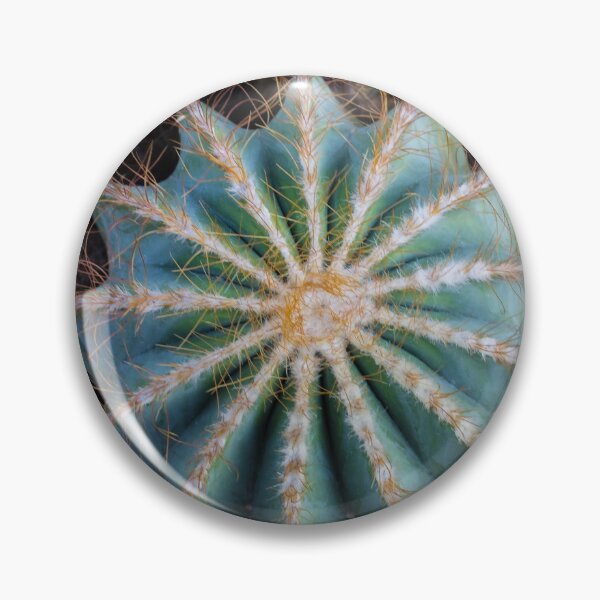 Item preview, Cacti Collection designed and sold by aprilbernphoto.