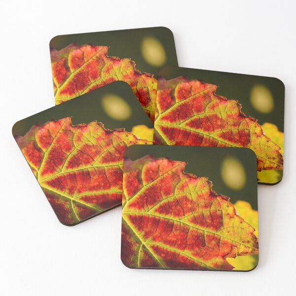 Item preview, Red leaf of gamay during fall season designed and sold by Gaël FONTAINE.