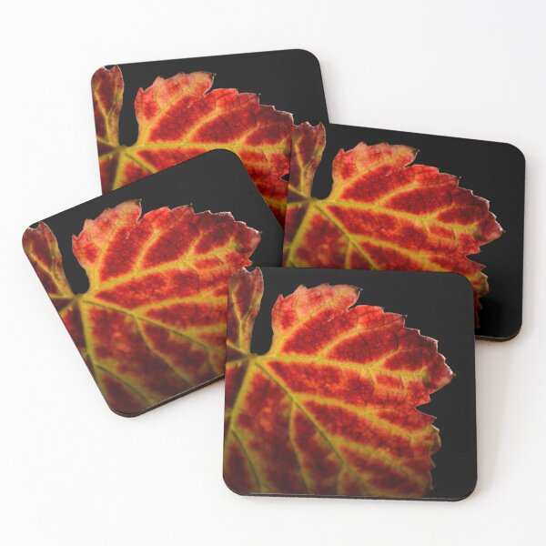 Item preview, Red leaf of gamay during fall season designed and sold by Gaël FONTAINE.