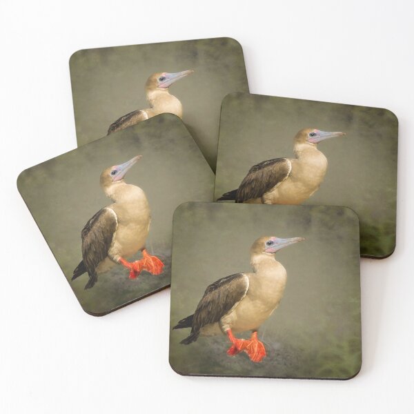 Item preview, Red Footed Booby in Galapagos designed and sold by Yukondick.
