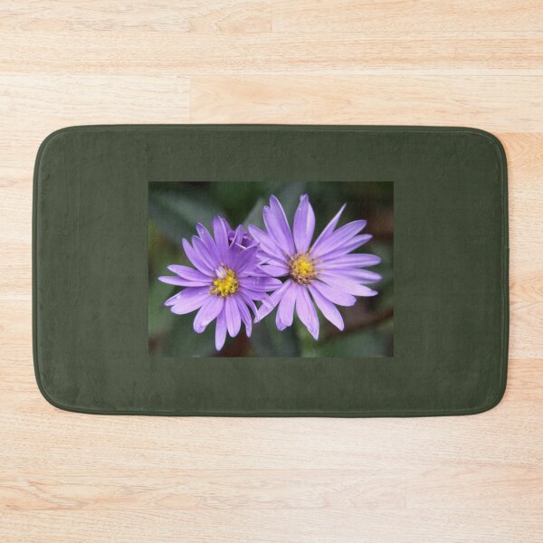 Item preview, A Daisy Duo designed and sold by coffeebean.