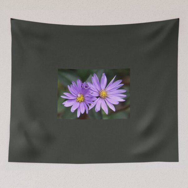 Item preview, A Daisy Duo designed and sold by coffeebean.