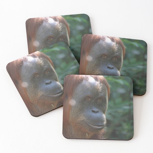 Item preview, Sumatran orangutan: female designed and sold by mollykaban.