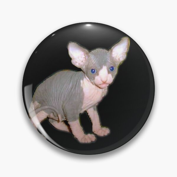 Item preview, Cowboy the Sphynx as a kitten designed and sold by nekodokai1.