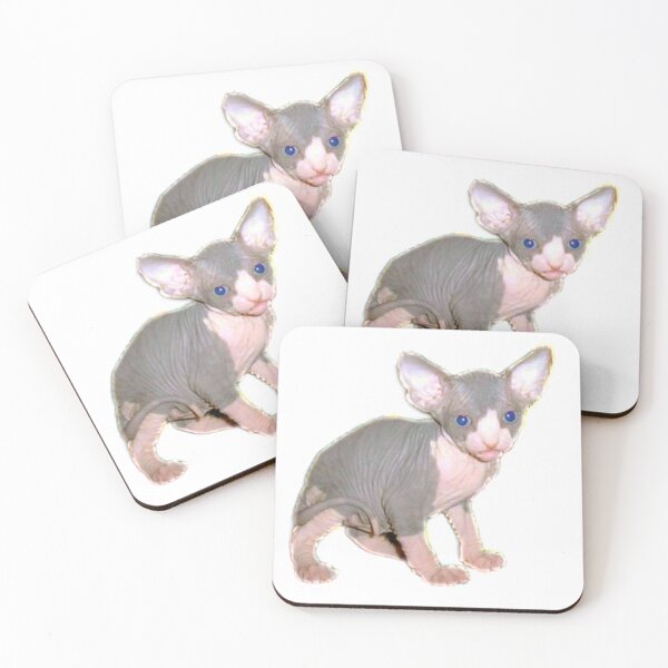 Item preview, Cowboy the Sphynx as a kitten designed and sold by nekodokai1.
