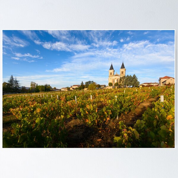 Item preview, Vineyards and church of Regnie Durette village designed and sold by Gaël FONTAINE.