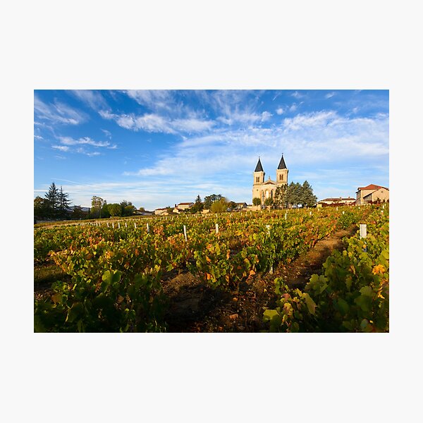 Item preview, Vineyards and church of Regnie Durette village designed and sold by Gaël FONTAINE.