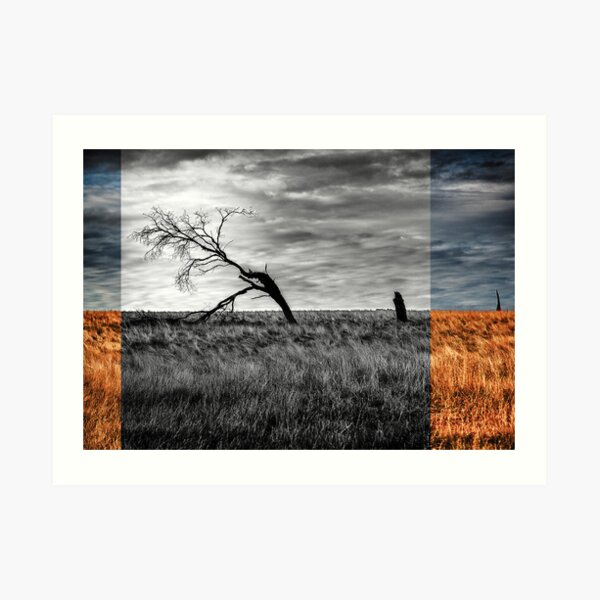 branching out Art Print