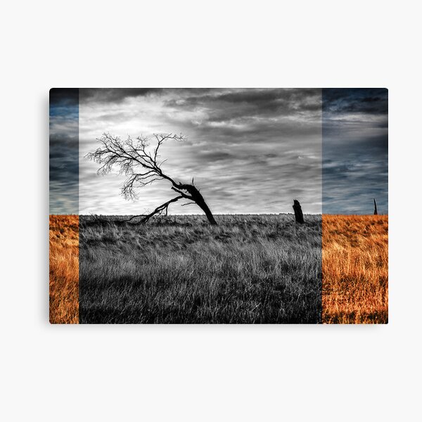 branching out Canvas Print