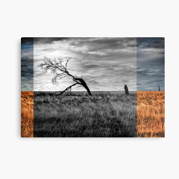 branching out Metal Print