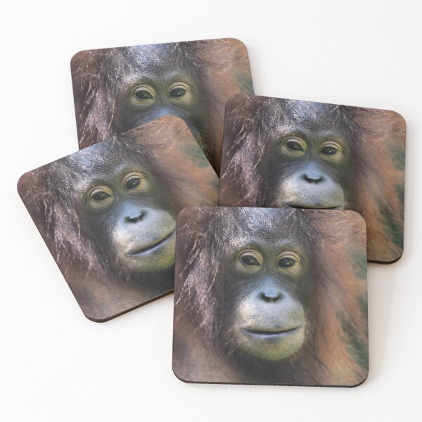 Item preview, Portrait: Female Orangutan designed and sold by Carole-Anne.