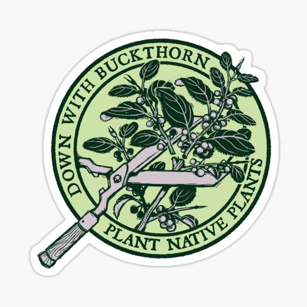 Down With Buckthorn Sticker
