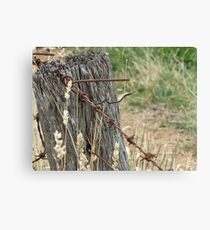 Old Barbed Wire Fence Canvas Print