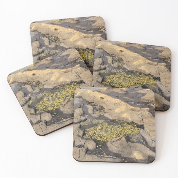 Item preview, Rock Pool at Fossil Forest designed and sold by coffeebean.