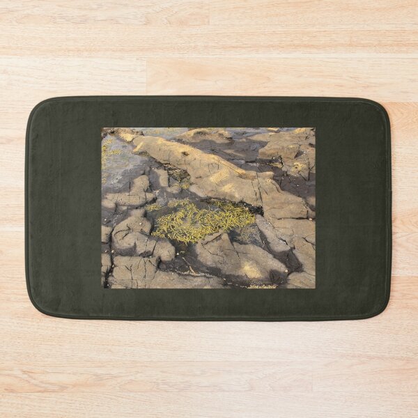 Item preview, Rock Pool at Fossil Forest designed and sold by coffeebean.