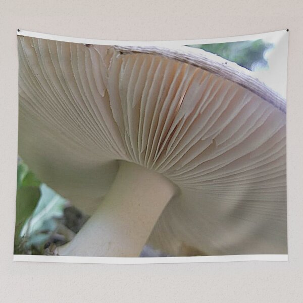 Item preview, up to the gills designed and sold by Penwortham.