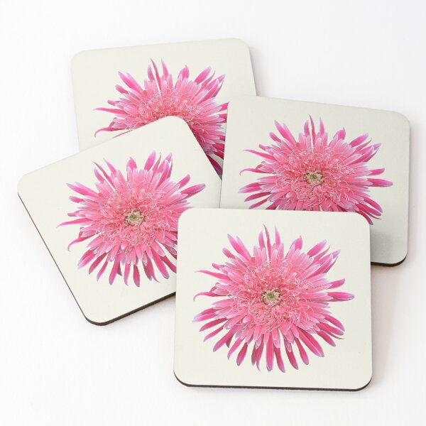 Item preview, Pink Gerbera on Cream  designed and sold by STHogan2.