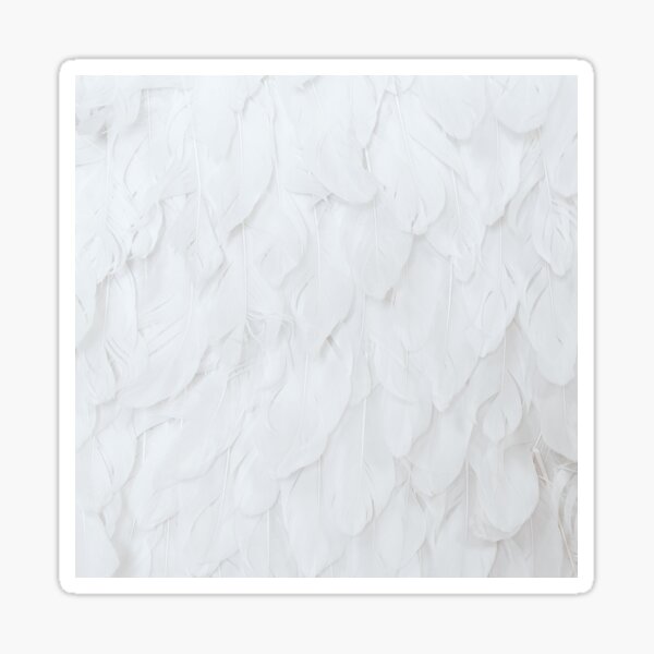 Sticker White feathers