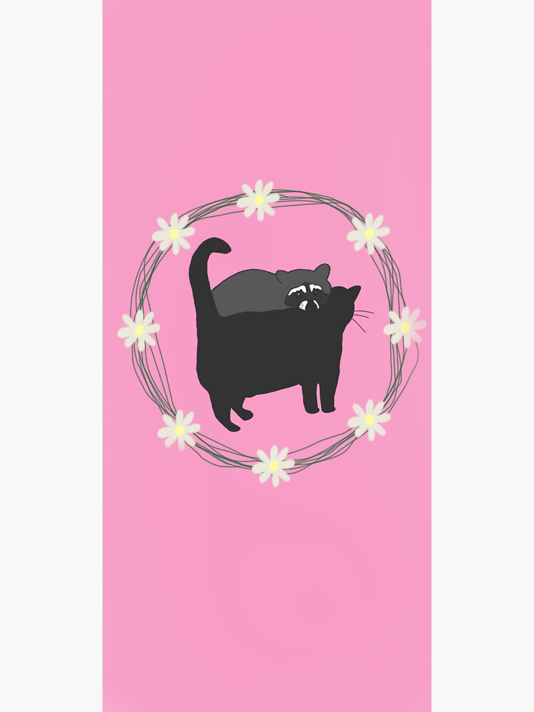 "Can cats and raccoons be friends?" Sticker for Sale by BaldwinArts