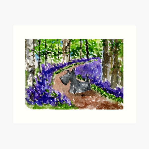 Aperçu de l'œuvre Chien Scottie dans Bluebell Woods aquarelle créée et vendue par archyscottie.