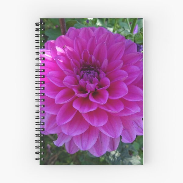 Artikelvorschau, schöne pinke Blume entworfen und verkauft von MariettevdB.
