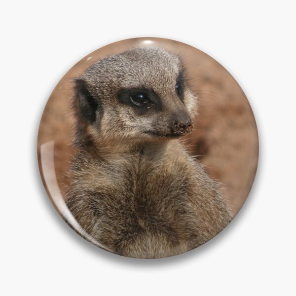 Item preview, Meerkat  designed and sold by KcsArt87.