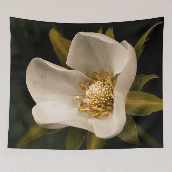 Item preview, Strawberry flower designed and sold by Gaspar Avila.