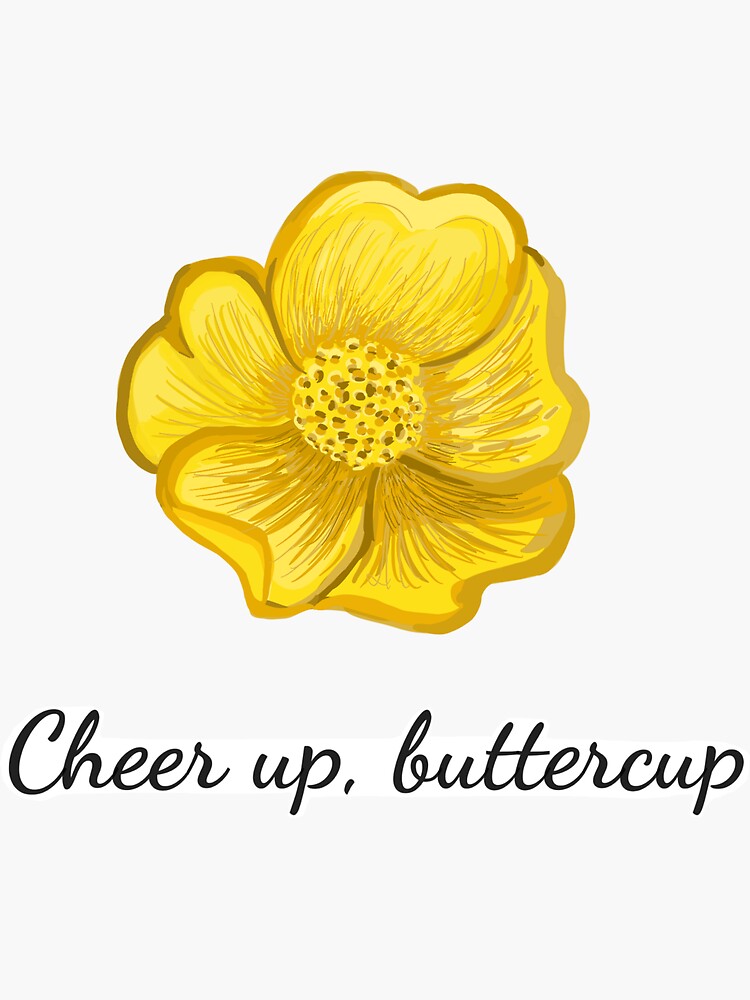 cheer up buttercup lyrics