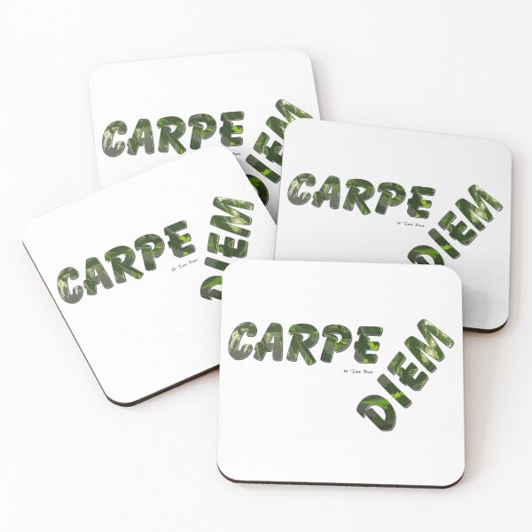 Item preview, Carpe Diem designed and sold by TateBrevi.