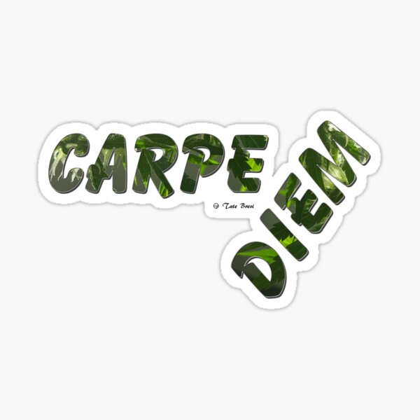 "Carpe Diem" Sticker for Sale by TateBrevi | Redbubble